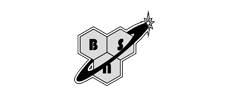 BSN Logo