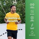 creatine lifestyle