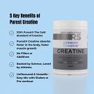 creatine details