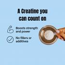 creatine information