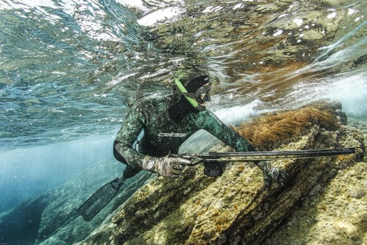 A man spearfishing underwater