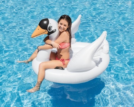 pool swan