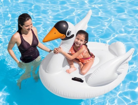 riding a giant inflatable swan