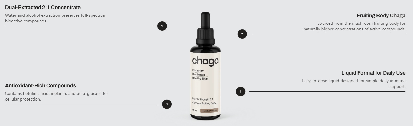 chaga image