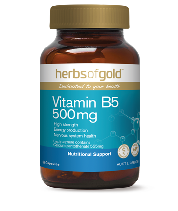 Herbs of Gold Vitamin B5 500mg