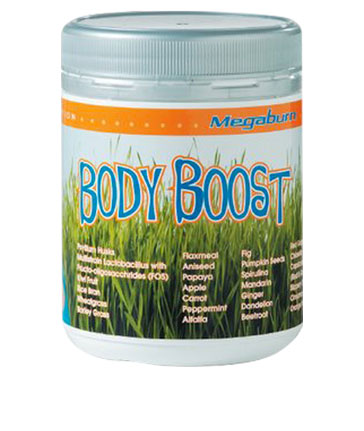 Megaburn Body Boost Powder