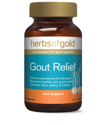 Herbs of Gold Gout Relief