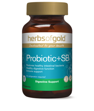 Herbs of Gold Probiotic + SB