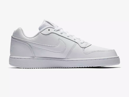 mens nike ebernon