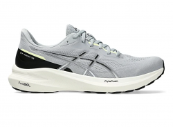 Asics GT-1000 13 | Mens | Grey White Black
