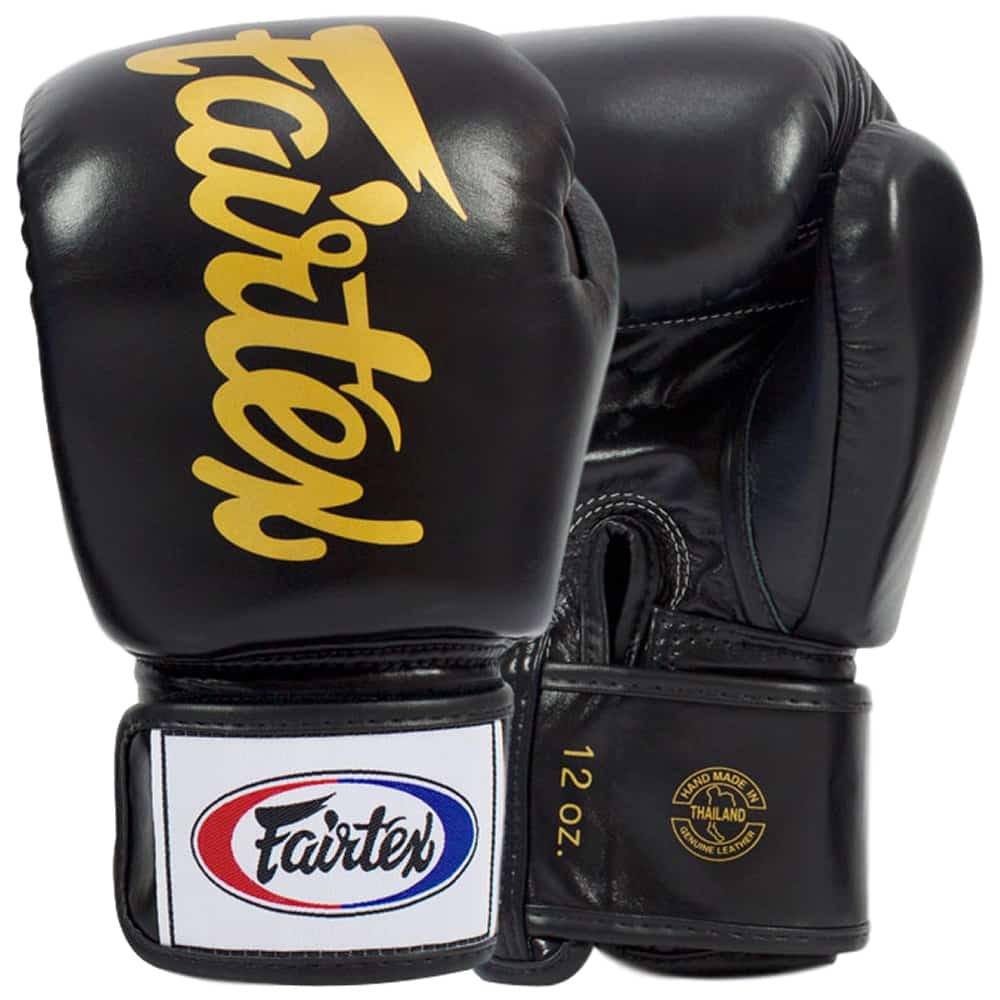Fairtex BGV19 Deluxe Boxing Gloves