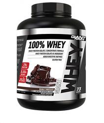 Giant Sports 100% Whey Protein Giant Sports 100% Whey Protein