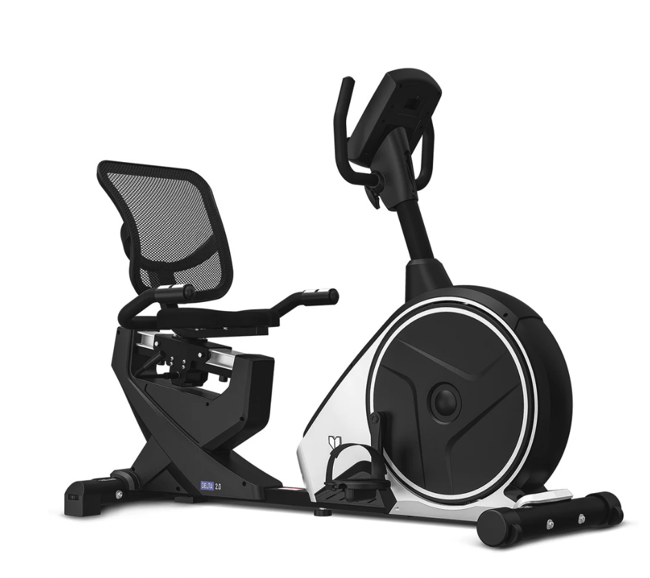 Lifespan Delta 2.0 Recumbent Bike