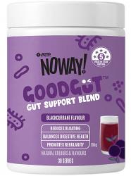 ATP Science NoWay GoodGut Powder