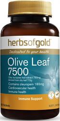 Herbs of Gold Olive Leaf 7500 Herbs of Gold Olive Leaf 7500