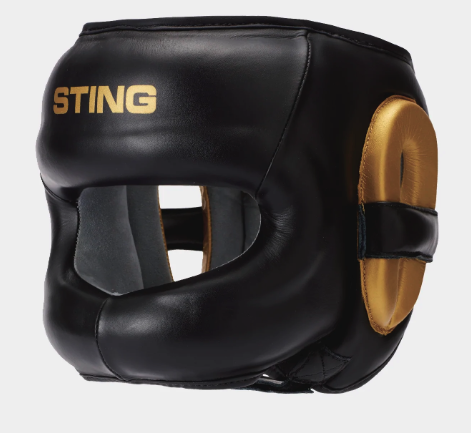 Sting Evolution Face Shield