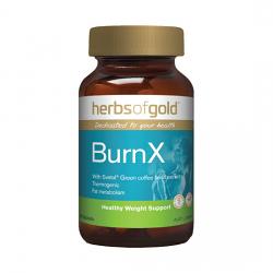 Herbs of Gold BurnX Herbs of Gold BurnX